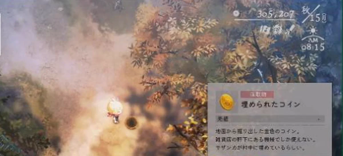 盛り土のそばで埋められたコインの詳細が表示されたゲーム画面