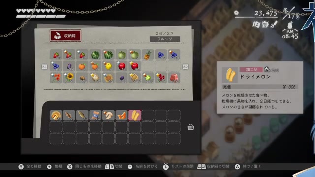 ドライメロンのゲーム内表示