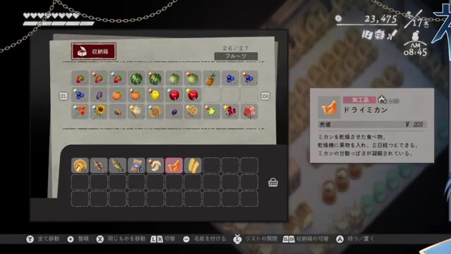 ドライみかんのゲーム内表示