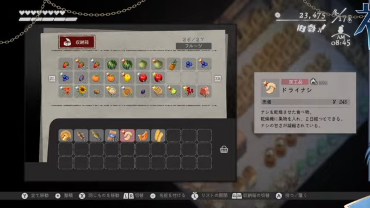ドライナシのゲーム内表示