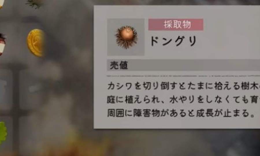 どんぐりの図鑑情報で分類や入手先を確認するゲーム画面
