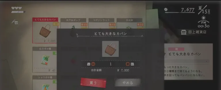 夏15日の田上雑貨店でとても大きなカバン1個を合計7000円で購入する確認画面