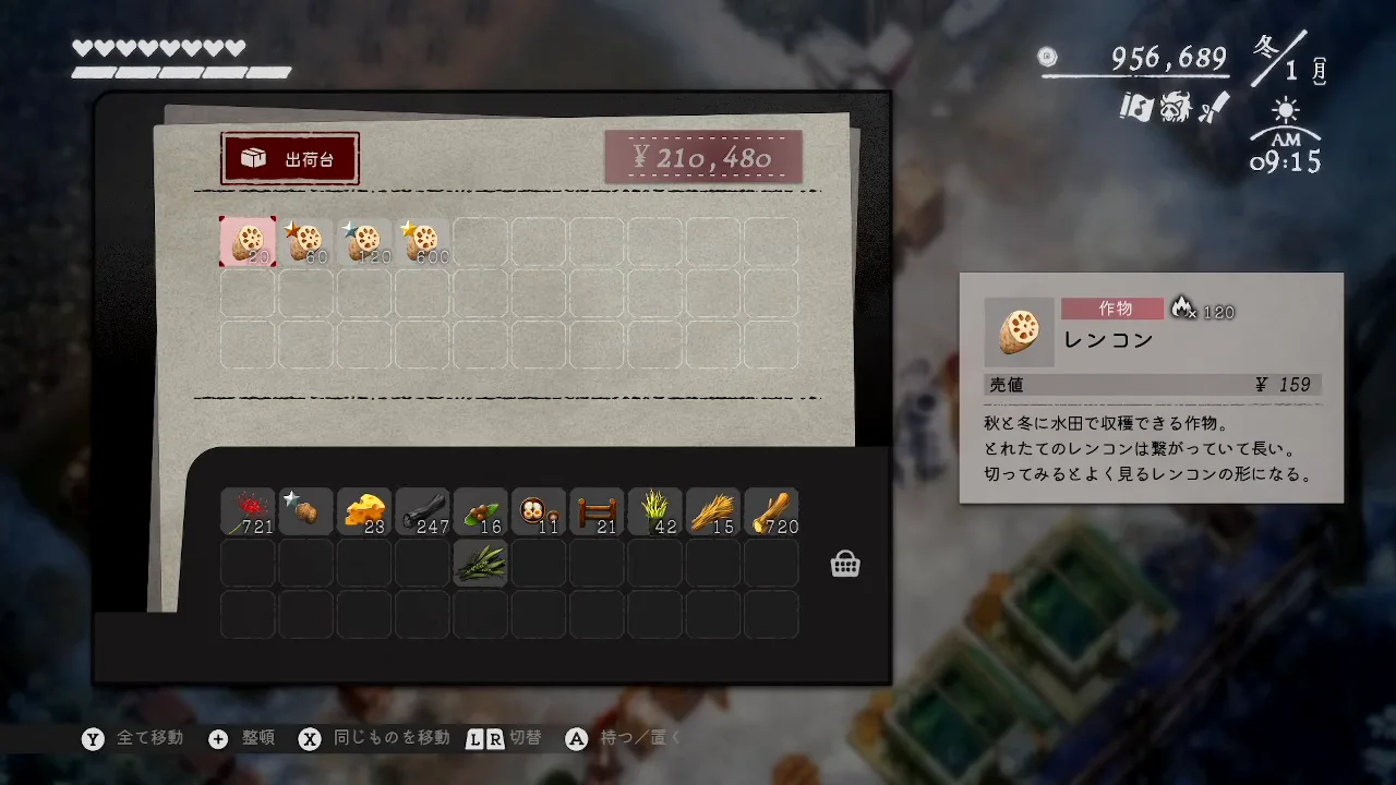 品質が異なるレンコン800個を出荷台へ入れ合計210480円と表示されたゲーム画面