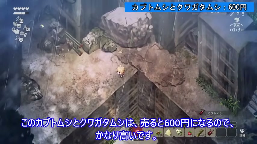 ほの暮しの庭でカブトムシとクワガタムシを集める場面