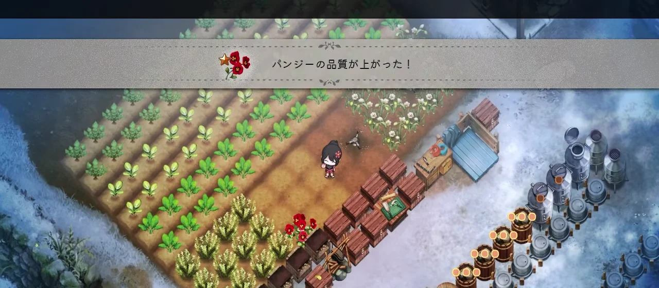 カマでの収穫後に畑のパンジーが減り品質が上がったと表示されたゲーム画面