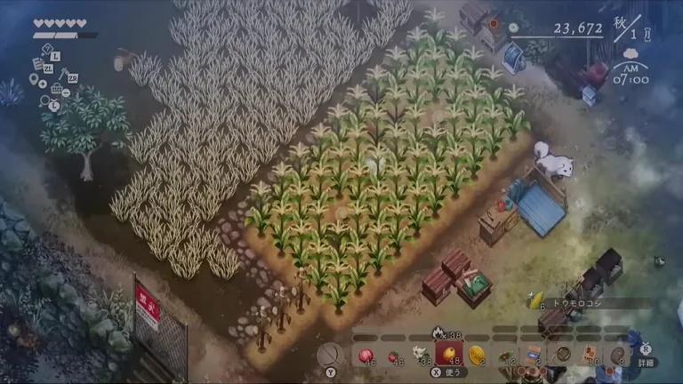 秋1日に右側のトウモロコシが緑色のまま残り、左側に枯れた作物があるゲーム画面