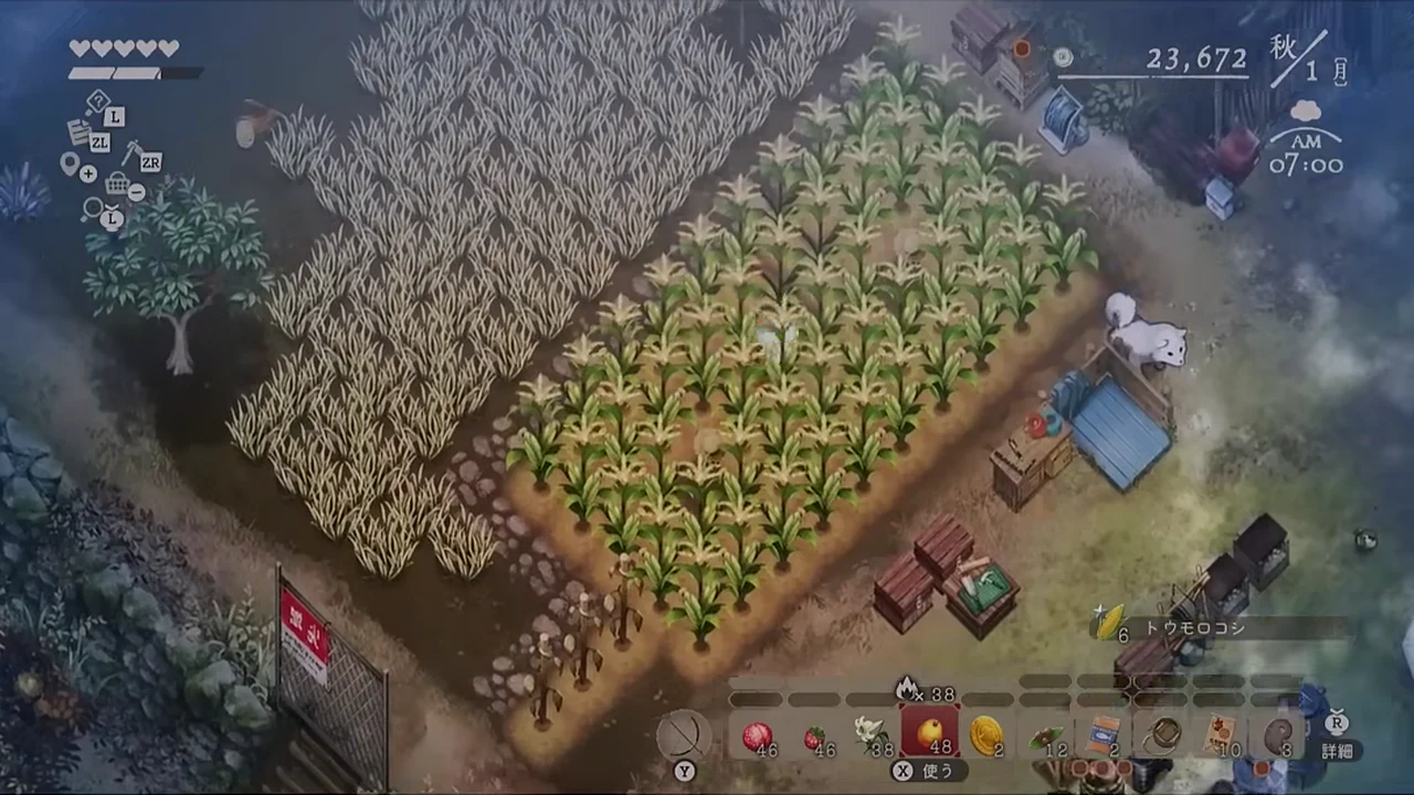 秋1日に右側のトウモロコシが緑色のまま残り、左側に枯れた作物があるゲーム画面