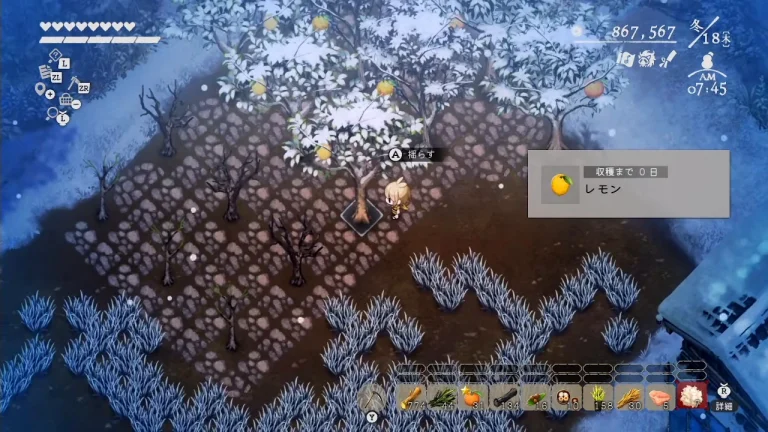冬のレモンの木に収穫まで0日とA揺らすが表示されたゲーム画面