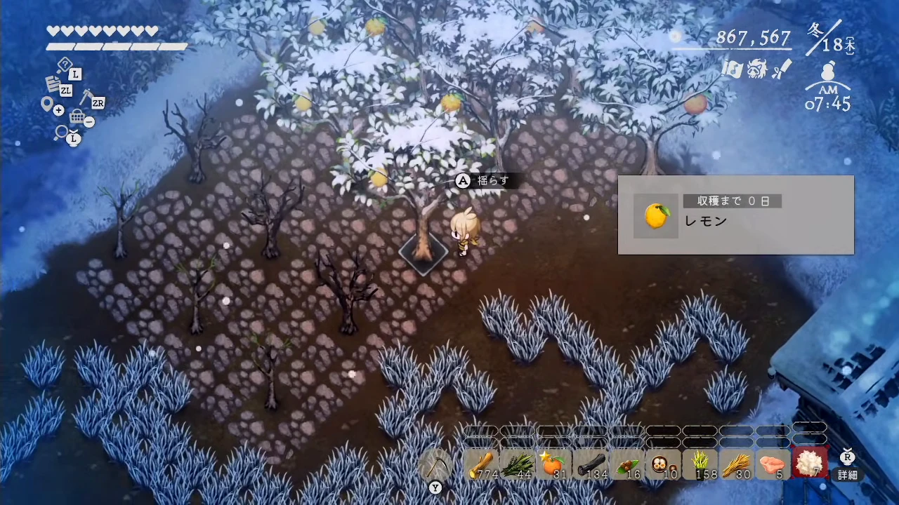 冬のレモンの木に収穫まで0日とA揺らすが表示されたゲーム画面