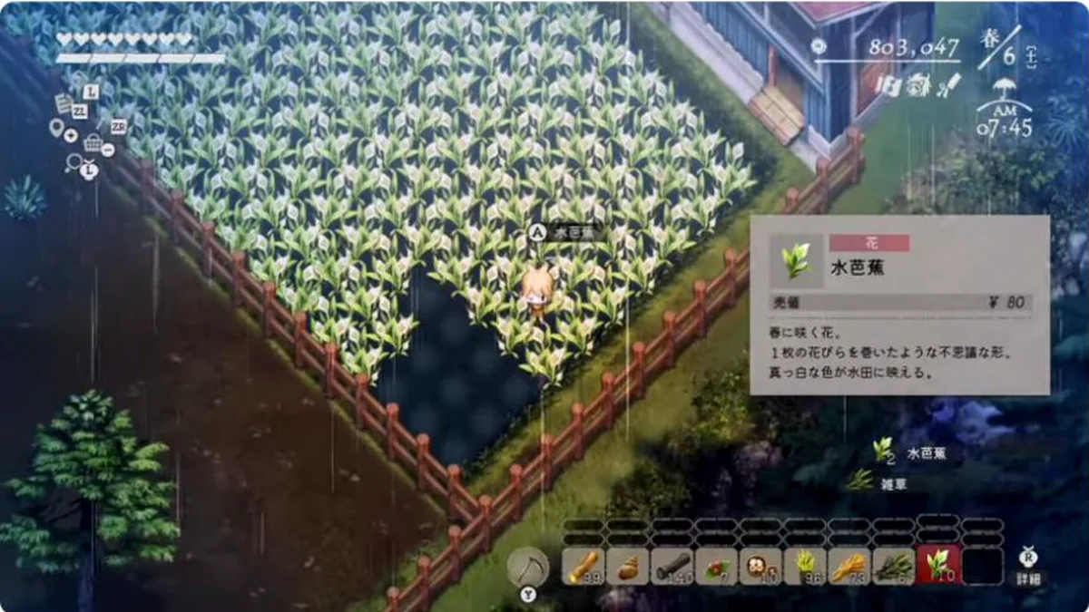 水田で水芭蕉を収穫し、所持品の水芭蕉と売値80円を表示したゲーム画面