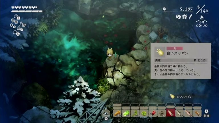 白いスッポンの名称、売値2625円、山奥の釣り場で稀に釣れる説明が表示されたゲーム内カード