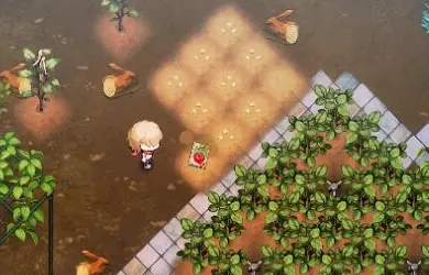 叩いた後に畑の上へ戻った種袋