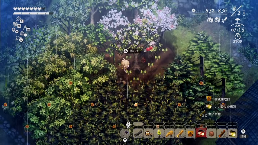 春2日に周囲の芽とサクランボの実を確認できるゲーム画面